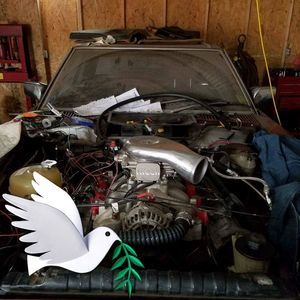 Meet your Posher, Gary